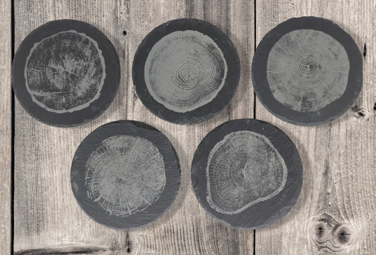 Tree Rings Coaster Set - Round Slate