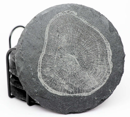 Tree Rings Coaster Set - Round Slate